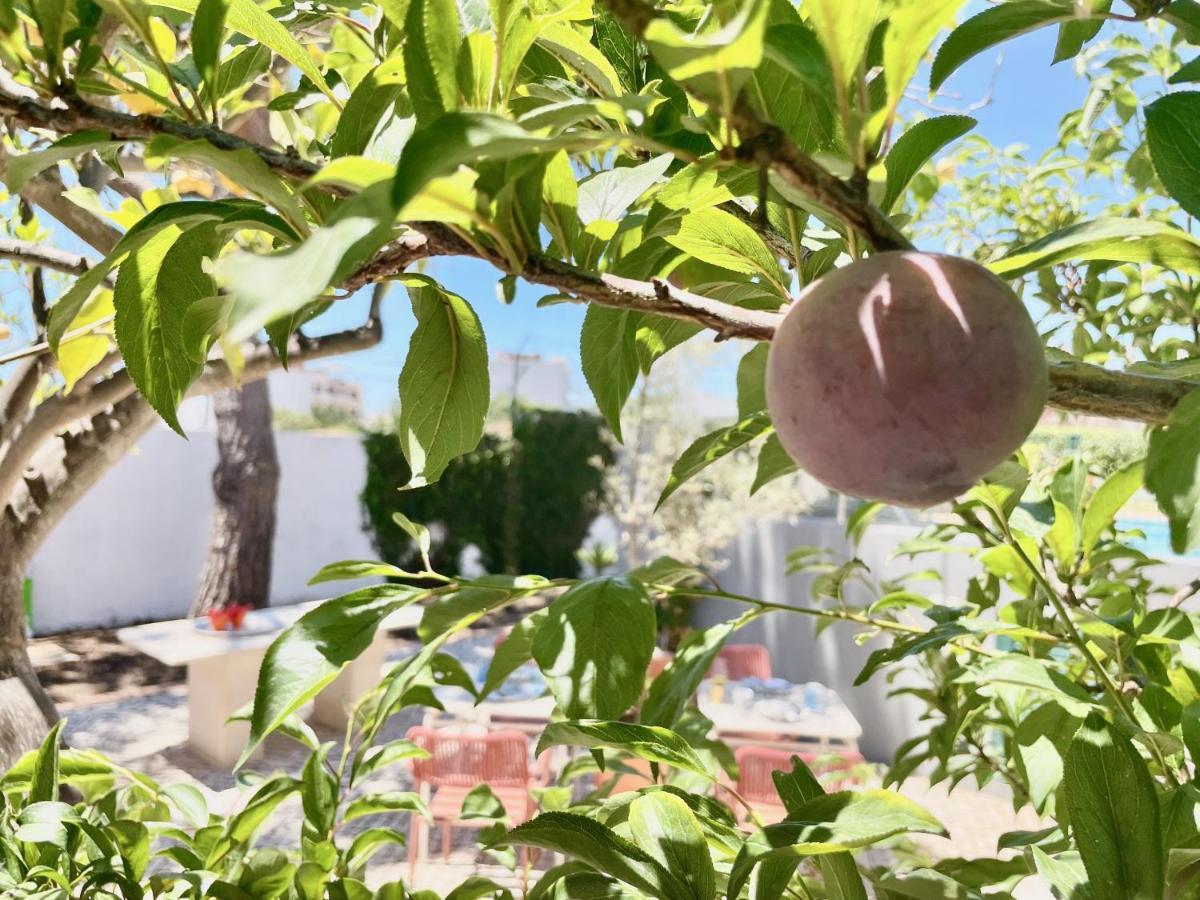 Charm Of The Algarve, Luxury Guesthouse Adults Only Olhão Buitenkant foto
